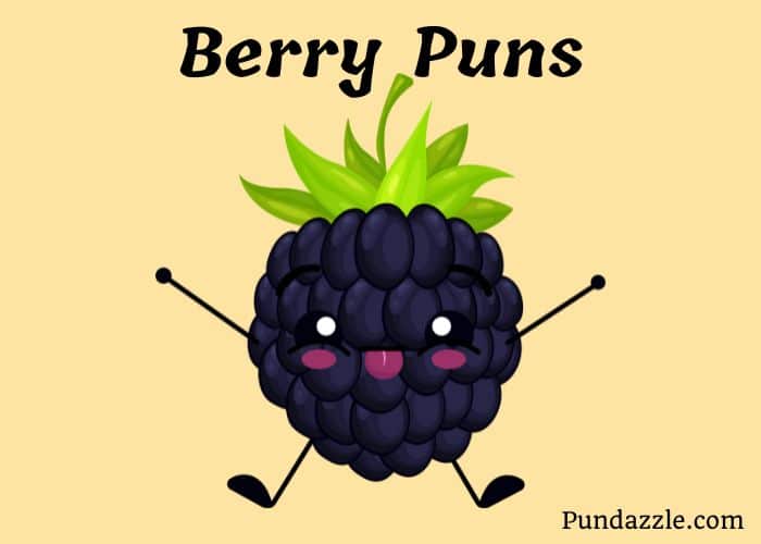 Berry Puns: 208 Fun and Playful Jokes To Brighten Your Day
