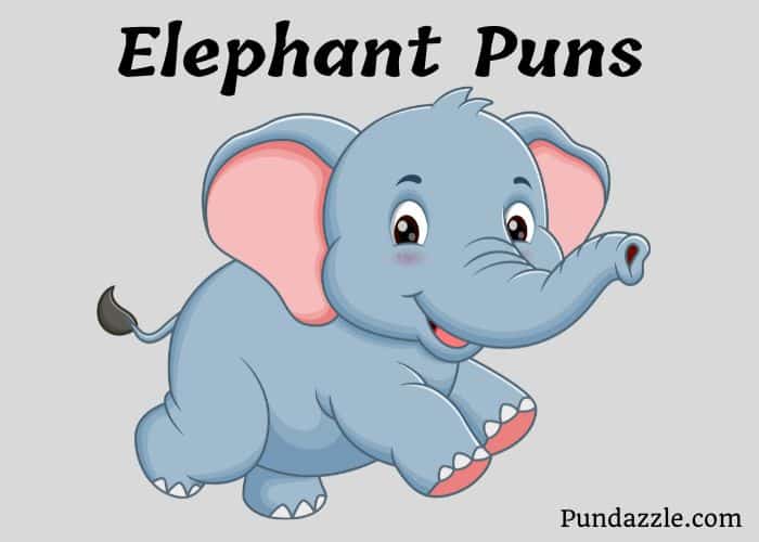 Top 303 Elephant Puns That Will Make You Trunk with Laughter