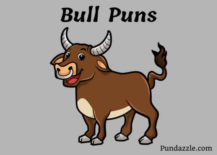 154 Hilarious Bull Puns That Will Make You Laugh Out Loud