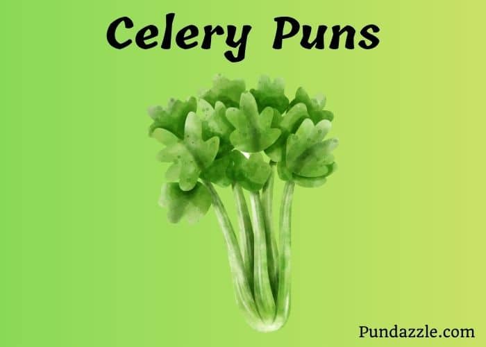 241 Funny Celery Puns To Add Flavor To Your Conversations