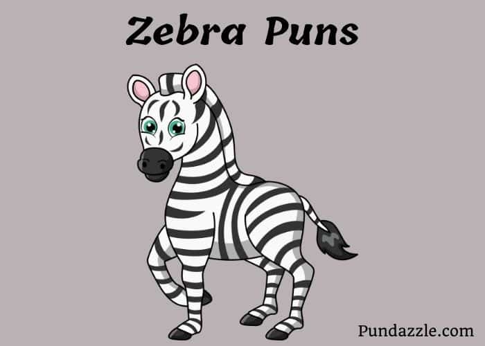 205 Hilarious Zebra Puns To Make You Laugh And Lighten the Mood