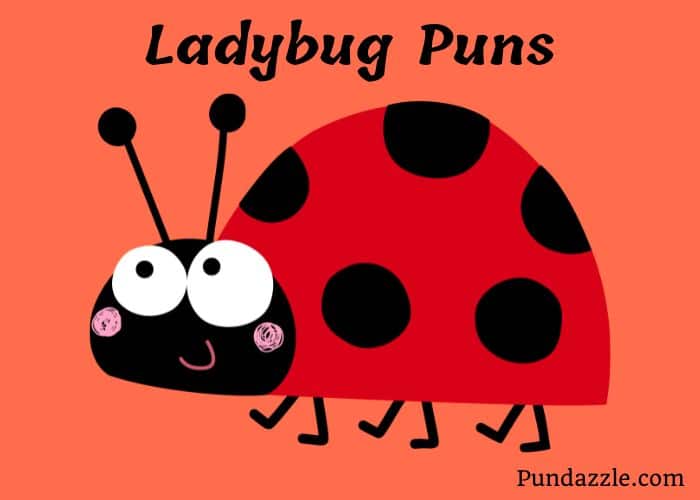 201 Adorable Ladybug Puns That Will Make You Smile And Giggle