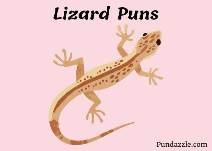 249 Hilarious Lizard Puns: Fun Jokes For Reptile Lovers