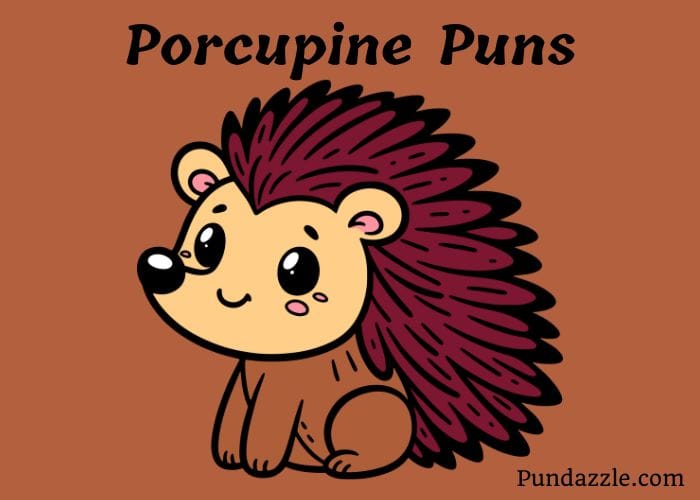 102 Hilarious Porcupine PunsThat Will Make You Laugh Out Loud