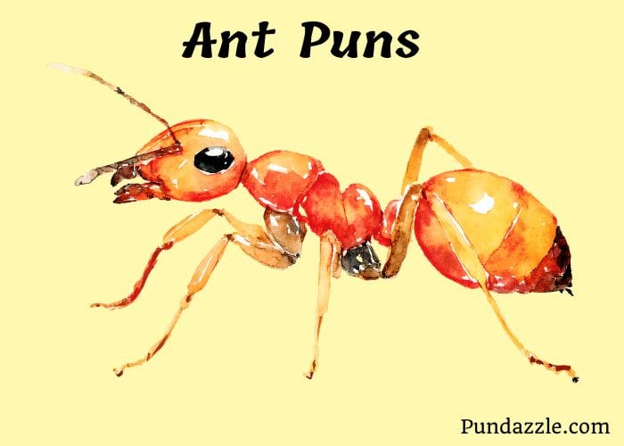 204 Funny Ant Puns That Will Make You Ant-icipate More Jokes