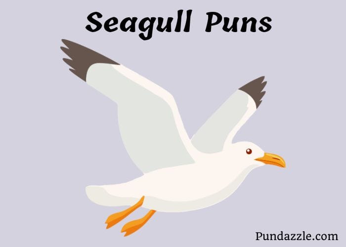 229 Funny Seagull Puns That Will Make You Laugh At The Beach